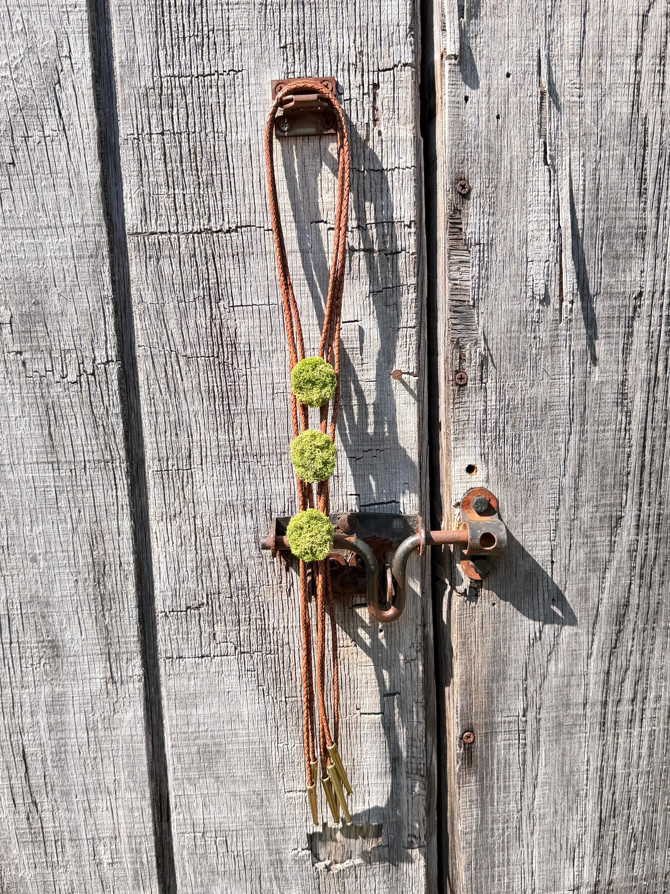Moss Buddy Bolo Tie | Handmade Nature Lover Jewelry, Antique Brass Slide