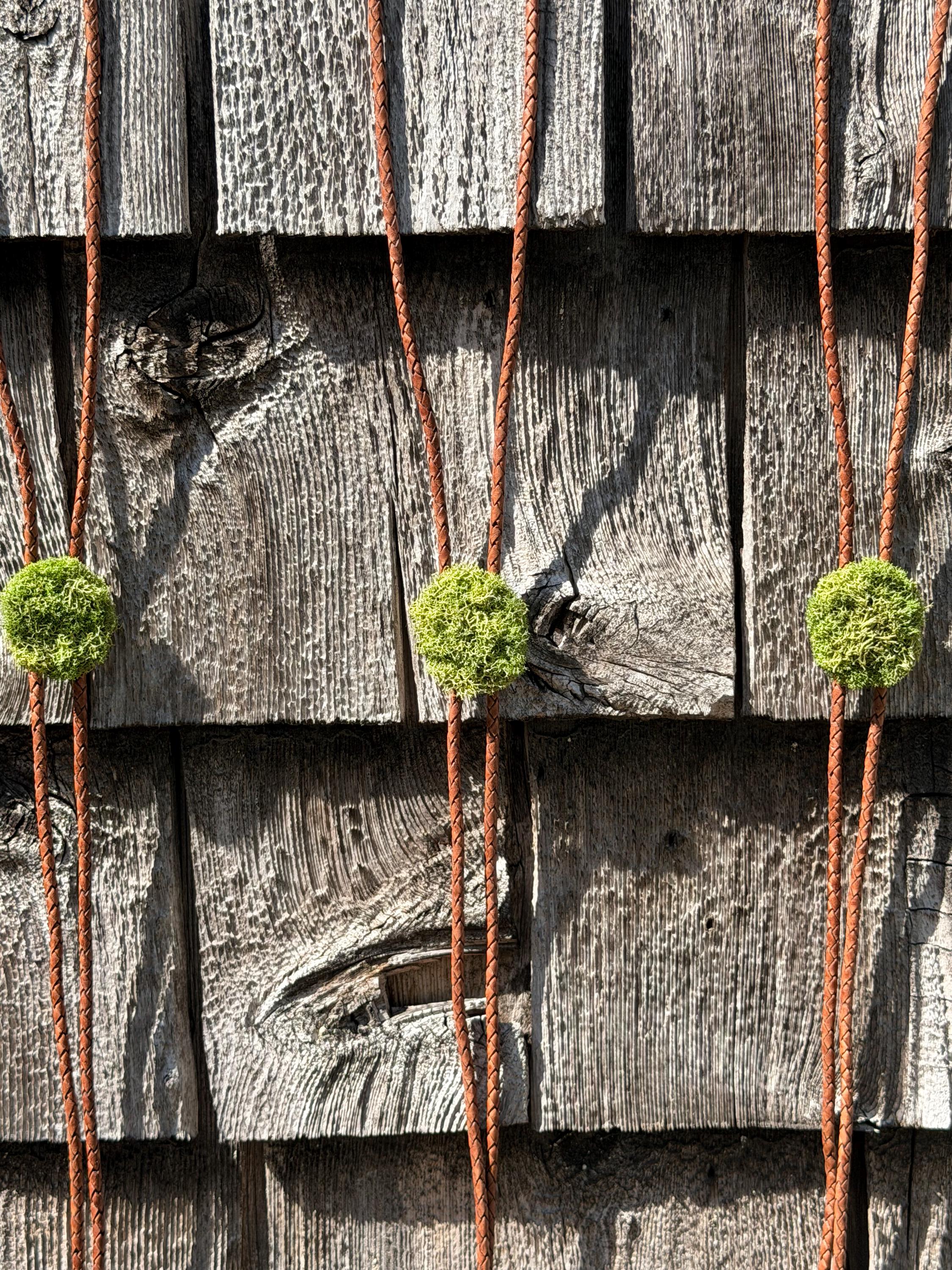 Moss Buddy Bolo Tie | Handmade Nature Lover Jewelry, Antique Brass Slide